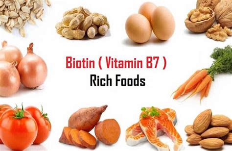 what is biotin b7